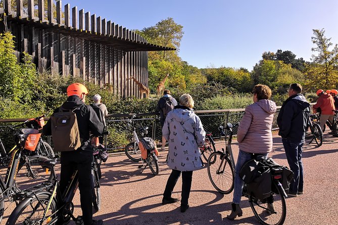 2h - Electric Bike Tour of Lyon with a Local Guide - Along the Rhône on paths made for bikes