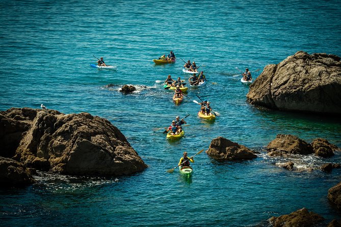 3 Hour of Sea Kayak Trip in the Creeks of Sete - Who will enjoy this Sète kayak trip most?