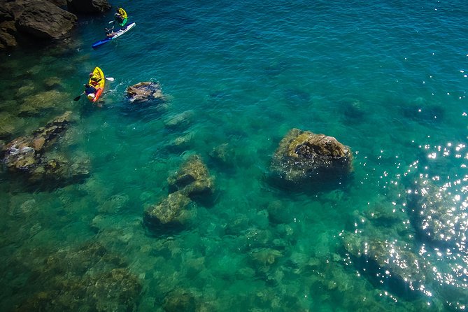 3 Hour of Sea Kayak Trip in the Creeks of Sete - Choosing between a single and double kayak