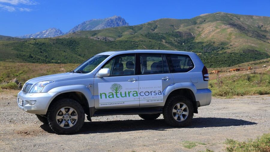 4x4 Agriates Desert and Beach Excursion from Calvi - Plants, birds, butterflies, and Corsican maquis