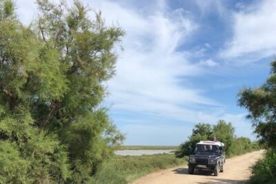 4×4 Camargue Safari 4h – Departure from Arles