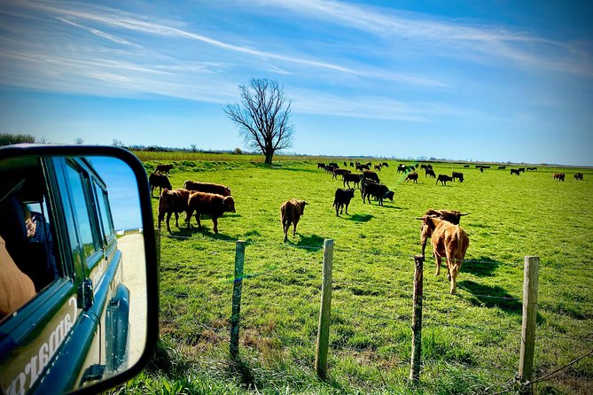 4x4 Camargue Safari 4h - Departure from Arles - Thirty minutes in Saintes-Maries-de-la-Mer