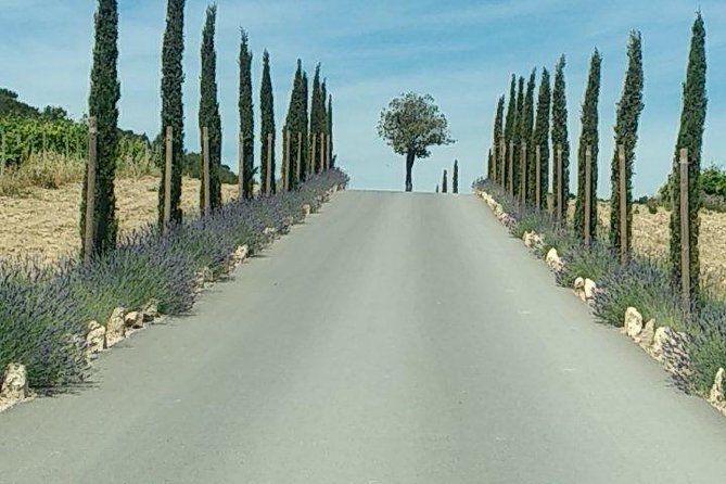 5-Hour Private Sightseeing Tour of the Provence from Marseille in Luxury Car - Aix-en-Provence, Cezanne’s elegant home city