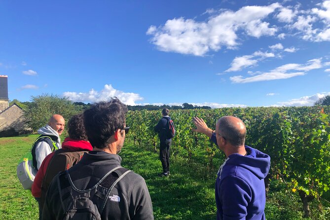 Afternoon Loire Valley Wine Tour from Tours or Amboise - The guides make the difference
