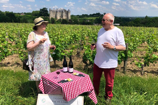 Afternoon Loire Valley Wine Tour from Tours or Amboise - Small group, clean transport, and a four-hour pace