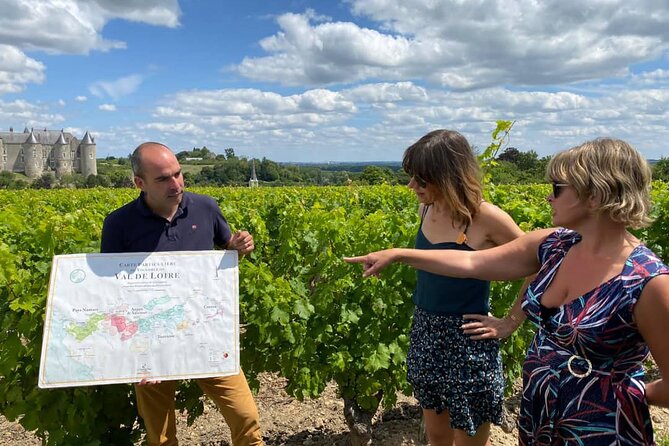 Afternoon Loire Valley Wine Tour from Tours or Amboise - Price and value at $174.99
