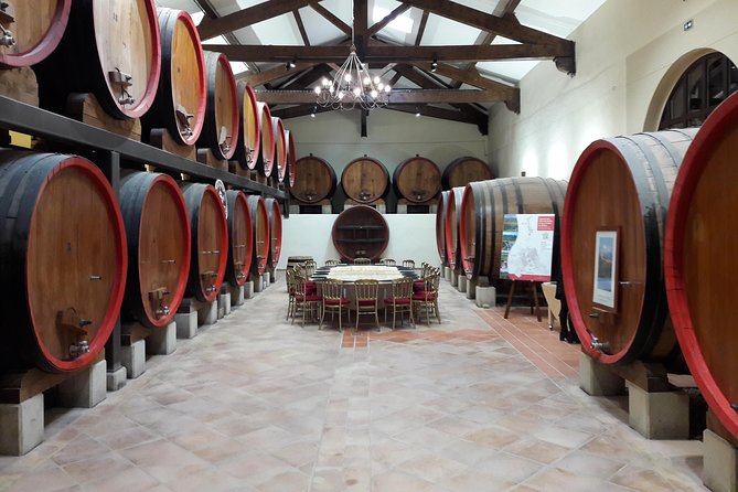Afternoon Wine Tour to Chateauneuf du Pape from Avignon - Why the eight-person group makes a difference