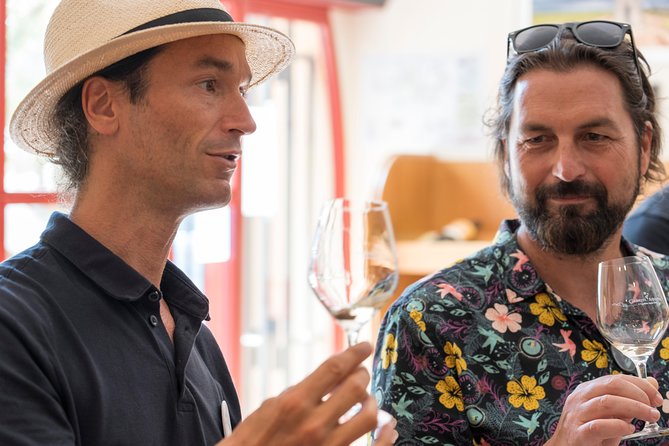 Afternoon Wine Tour to Chateauneuf du Pape from Avignon - Practical details that can shape your afternoon