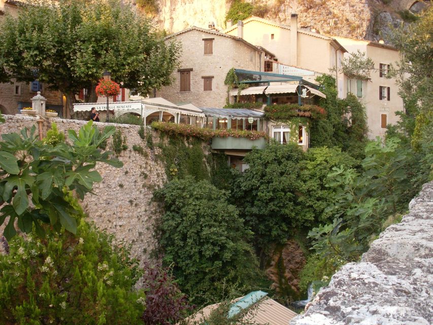 Aix-en-Provence: Verdon & Moustiers-Sainte-Marie Full-day - Meeting a local producer