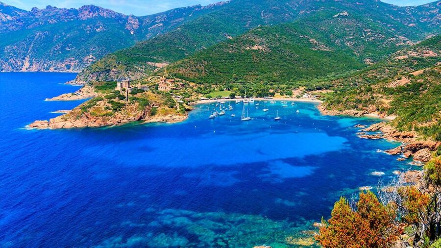 Ajaccio: Guided Scandola Nature Reserve Boat Tour - Practical ways to make the day better