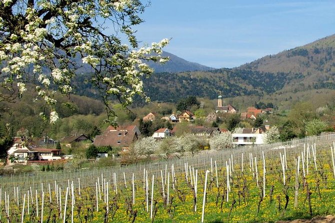 Alsace 4 Wonders Small-Group Day Trip from Colmar - Why this is a smart one-day introduction to Alsace