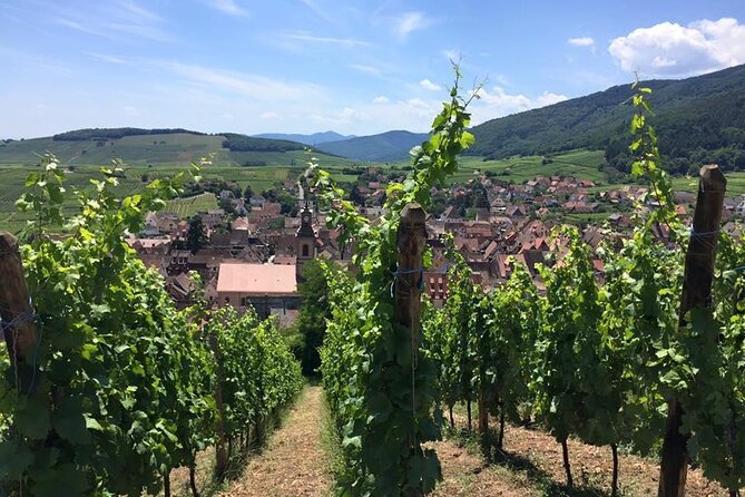 Alsace 4 Wonders Small-Group Day Trip from Colmar - Eguisheim first, when the lanes are at their prettiest