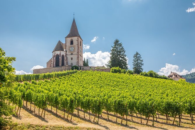 Alsace Full Day Wine Tour from Colmar - Meeting your guide in Colmar at 9:30 a.m.