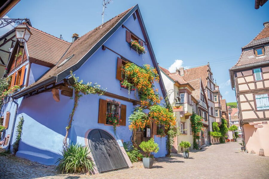 Alsace: Full-Day Wine Tour & Tastings from Strasbourg - The guides make the difference