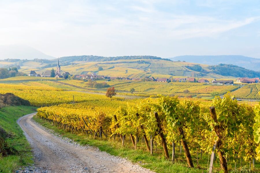 Alsace: Full-Day Wine Tour & Tastings from Strasbourg - From Strasbourg to Mittelbergheim’s Grand Crus
