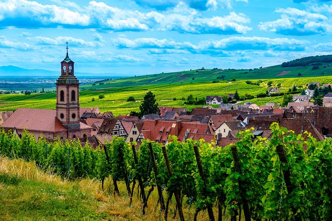 Alsace: Half-Day Wine Tour from Colmar - A compact route through the Alsace Wine Road