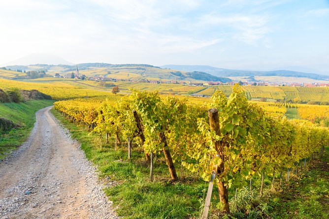Alsace: Half-Day Wine Tour from Colmar - What the small group changes