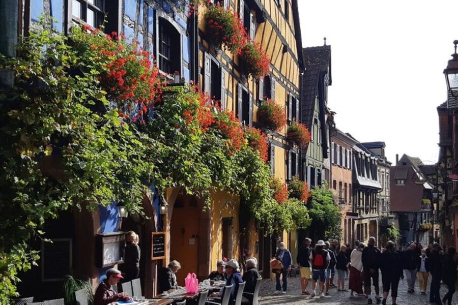 Alsace: Half-Day Wine Tour from Colmar - Who should book this afternoon tour?