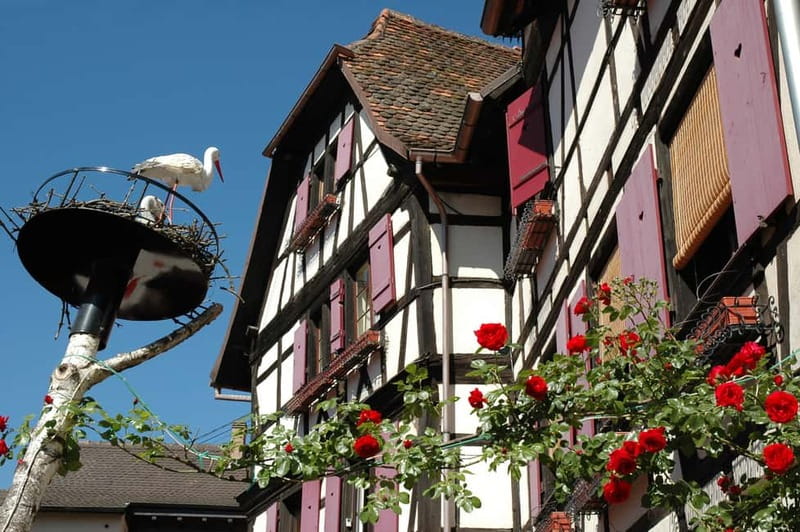 Alsace Half-Day Wine Tour from Strasbourg - Obernai: a town stop with your first tasting