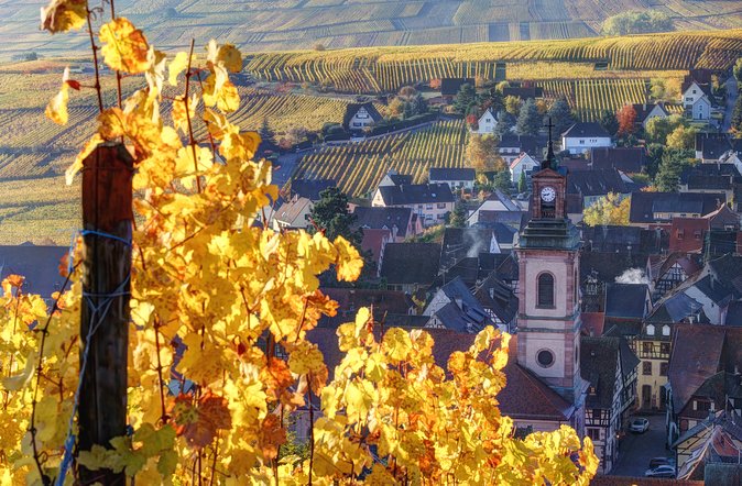 Alsace's Gems Small Group Day Tour from Colmar - Following the Alsace Wine Route