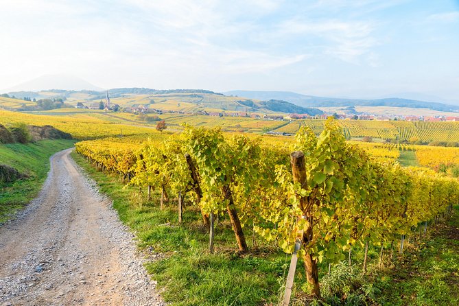 Alsace villages half day tour from Colmar - Free time, wine tasting, and the food question