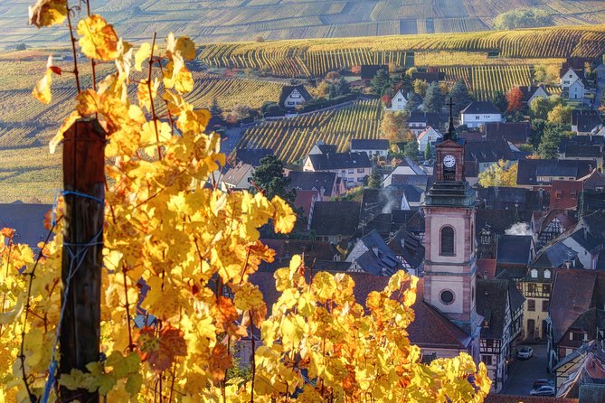 Alsace villages half day tour from Colmar - Starting from Colmar in a minivan