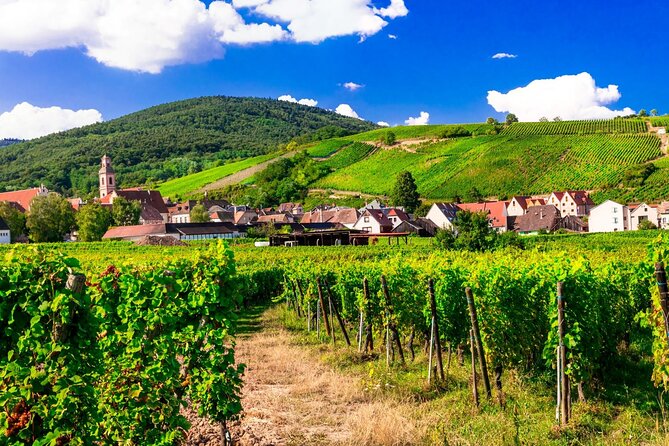 Alsace Wine Route Small Group Half-Day Tour with Tasting from Strasbourg - Comfort, timing, and the real value of $157.28