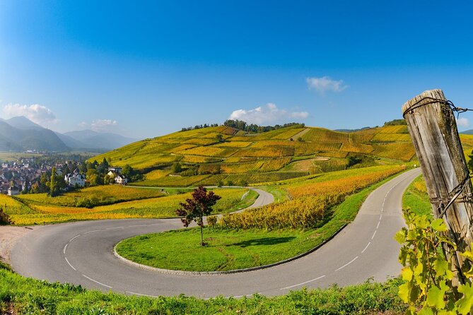 Alsace Wine Route Small Group Half-Day Tour with Tasting from Strasbourg - Who will enjoy this tour most