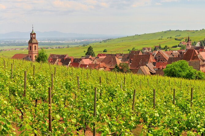 Alsace Wine Route Small Group Half-Day Tour with Tasting from Strasbourg - Should you book the Alsace Wine Route tour?