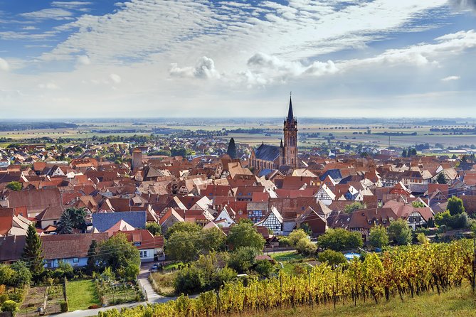 Alsace Wine Route Wineries & Tasting Small Group Guided Tour from Strasbourg - Dambach-la-Ville and the cellar experience