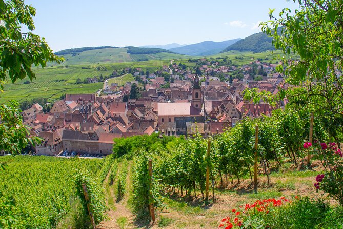 Alsace Wine Route Wineries & Tasting Small Group Guided Tour from Strasbourg - Ribeauvillé and Riquewihr after lunch