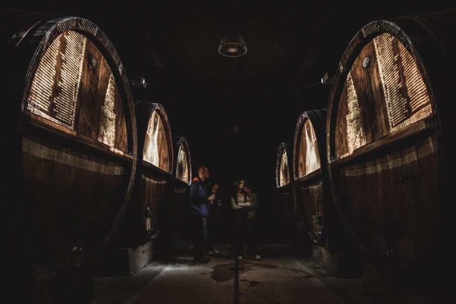 Alsatian Guided Wine Tasting and Immersive wine cellar tour - Key details at a glance