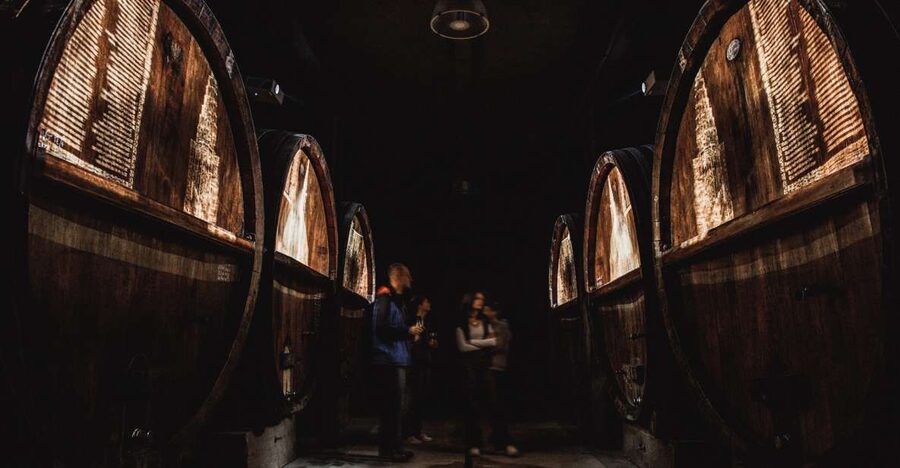 Alsatian Guided Wine Tasting and Immersive wine cellar tour - Five Alsace wines, with more range than Riesling