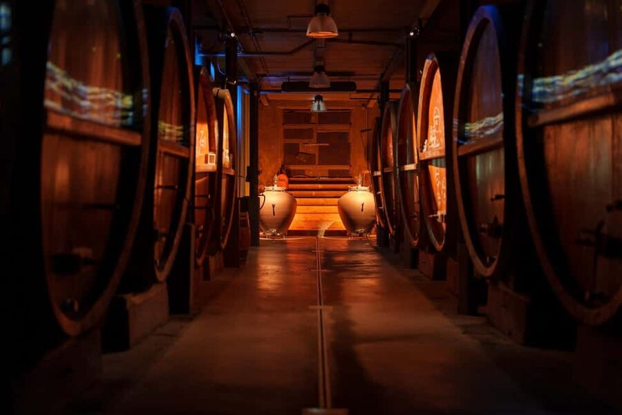 Alsatian Guided Wine Tasting and Immersive wine cellar tour - The shopping stop and buying wine
