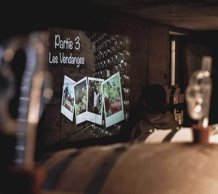 Alsatian Guided Wine Tasting and Immersive wine cellar tour - Who will enjoy this Gertwiller wine visit
