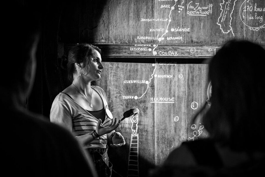 Alsatian Guided Wine Tasting and Immersive wine cellar tour - Language, timing, and simple booking advice