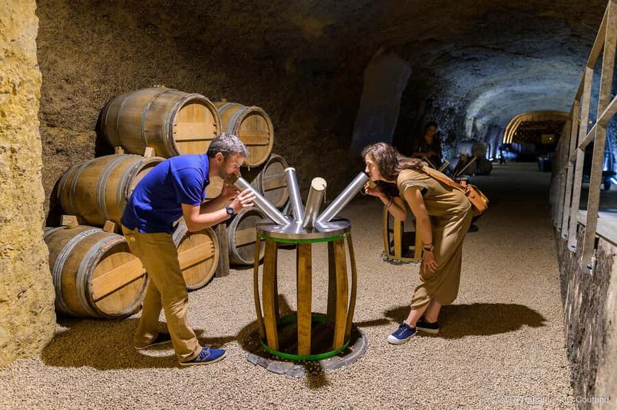 Amboise: Caves Ambacia Visit and Wine Tasting - What the guides add to the experience