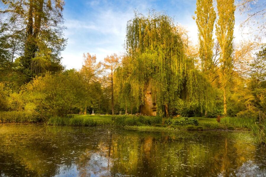 Amboise: Clos Lucé Castle, Da Vinci Park and Museum Ticket - The interactive show on painting and architecture