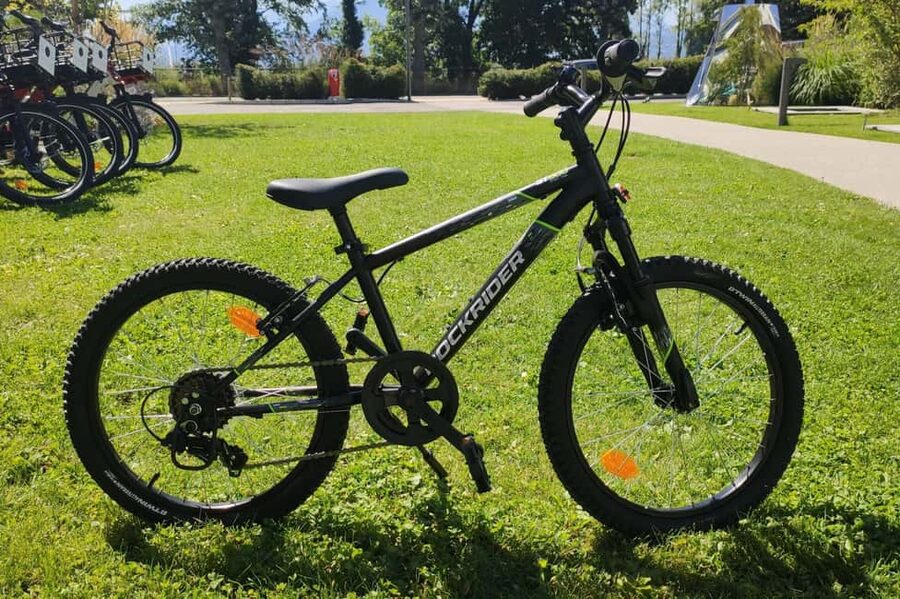 Annecy-le-Vieux, France: Electric and Classic Bike Rentals - Electric bike or classic bike?