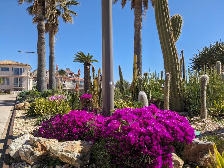 Antibes: 2 hour walking tour in the old town - Place Nationale and the Mediterranean feel
