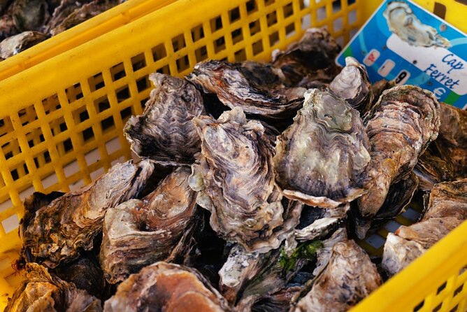 Arcachon Bay Full Day Trip from Bordeaux with lunch and Pyla Dune - Oyster lunch at Gujan-Mestras