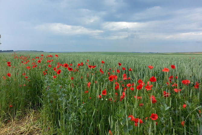 Australian private Somme tour including Sir John Monash Centre - Pozières tells the Australian story through ground and fragments