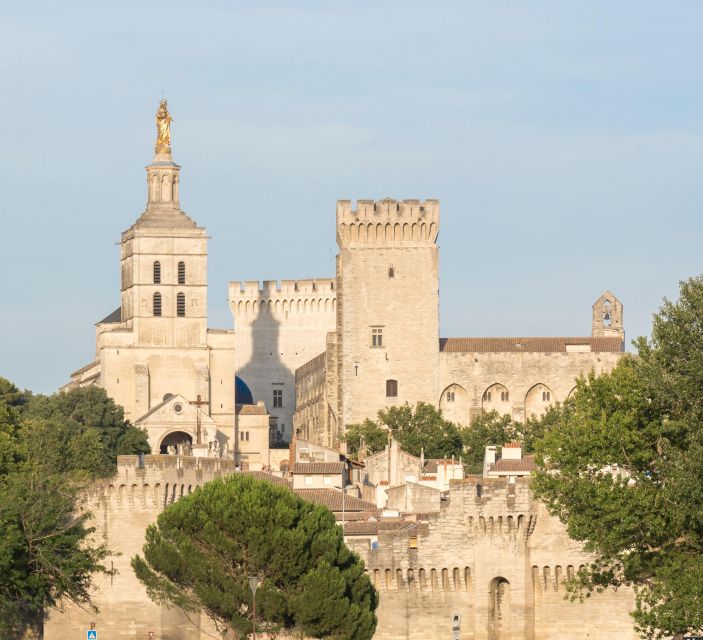 Avignon: City Walking Tour with Popes Palace Entry - Who Will Get the Most From This Walk?