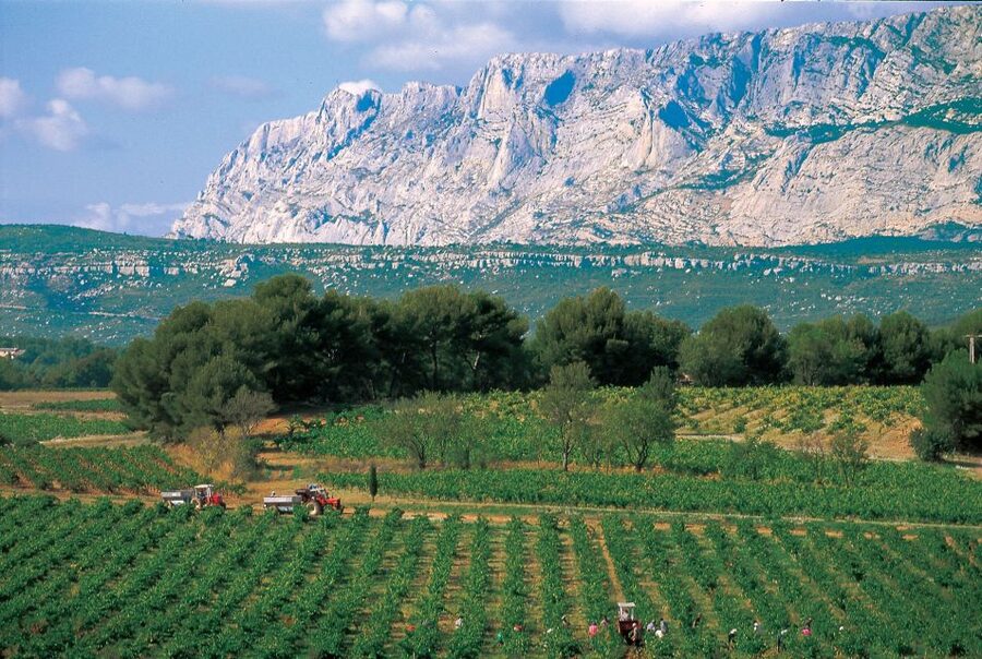 Avignon: Full-Day Wine Tour around Châteauneuf-du-Pape - Why this Avignon wine day works so well