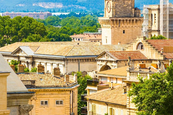 Avignon Walking Tour including Pope's Palace - Finishing with Côtes du Rhône wine