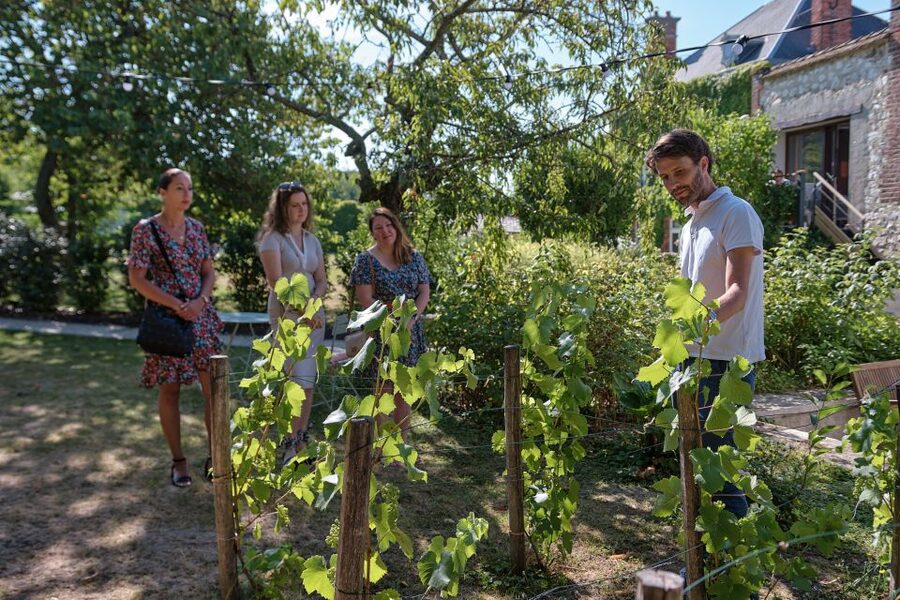 Aÿ-Champagne: Champagne House Tour and Tasting Class - Who should book Le Clos Corbier