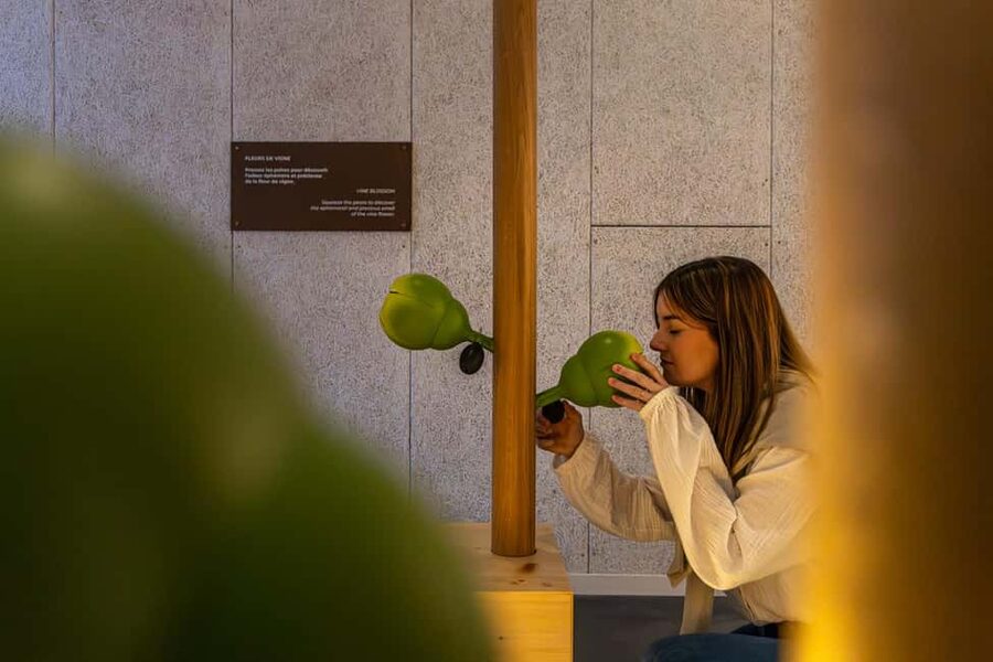 Aÿ-Champagne: Pressoria Champagne Museum with Tasting - Starting with soil, vines, and Aÿ