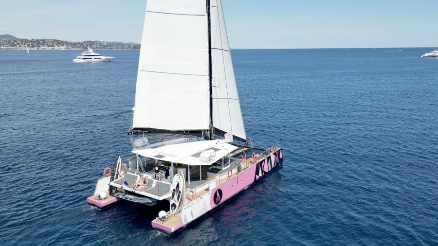 Bay of Quiberon or Morbihan gulf: Evening 2 hours navigation - The crew and language support
