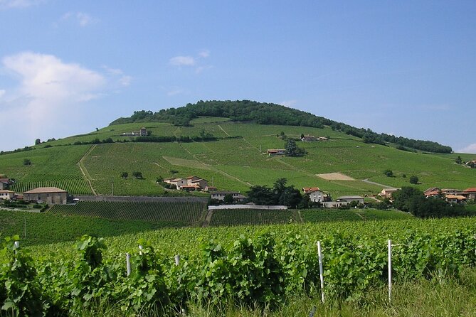 Beaujolais Half Day Wine Tasting Tour - Why this short trip works from Lyon