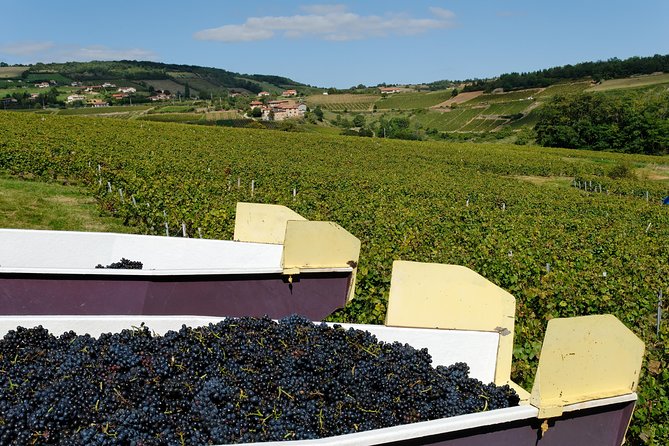 Beaujolais & Perouges Medieval Town (9:00 am to 5:15 pm - Small Group Tour Lyon - What the small group changes